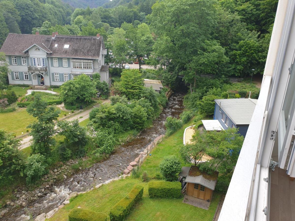 Apartz - Bad Harzburg - Apartment Mit Sauna In Idealer Lage Mit Bergblick Exteriör bild