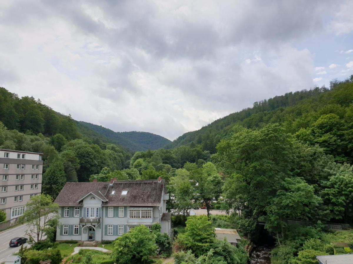 Apartz - Bad Harzburg - Apartment Mit Sauna In Idealer Lage Mit Bergblick Exteriör bild
